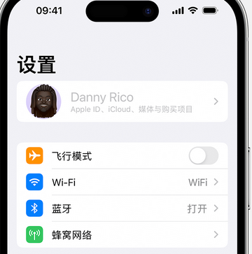 皂市镇appleID维修服务iPhone设置中Apple ID显示为灰色无法使用