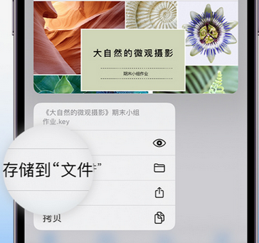 皂市镇apple维修中心分享iPhone文件应用中存储和找到下载文件