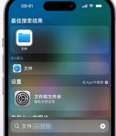 皂市镇apple维修中心分享iPhone文件应用中存储和找到下载文件 