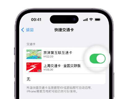 皂市镇apple维修点分享iPhone上更换Apple Pay快捷交通卡手绘卡面 