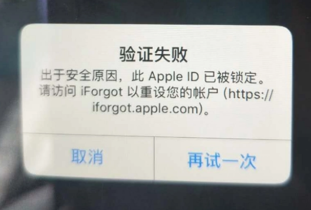 皂市镇iPhone维修分享iPhone上正常登录或使用AppleID怎么办 