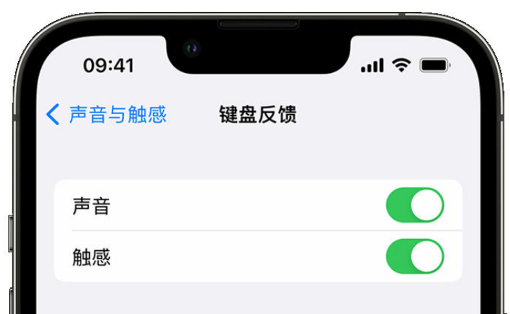 皂市镇苹果手机维修分享iPhone 14触感键盘使用方法 