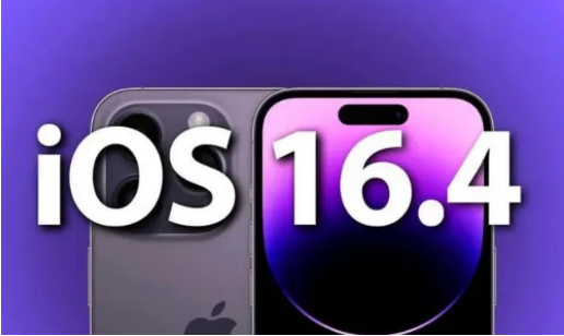 皂市镇苹果14维修分享：iPhone14可以升级iOS16.4beta2吗？ 