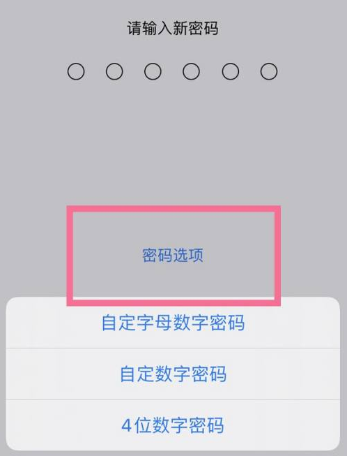 皂市镇苹果14维修分享iPhone 14plus设置密码的方法 