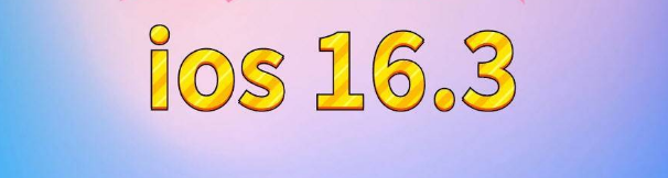 皂市镇苹果服务网点分享苹果iOS16.3升级反馈汇总 