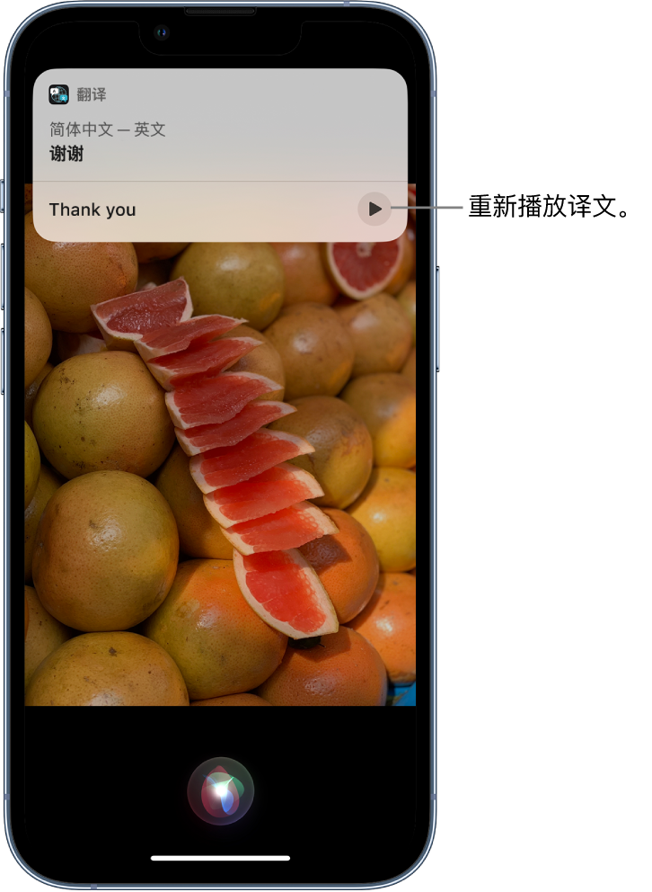 皂市镇苹果14维修分享 iPhone 14 机型中使用 Siri：了解 Siri 能帮你做什么 