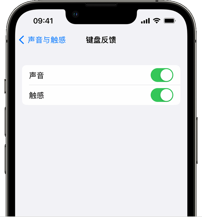 皂市镇苹果14维修分享iPhone 14 系列机型如何开启键盘声音或触感反馈 