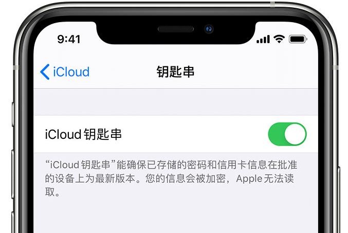 皂市镇苹果手机维修分享在 iPhone 上开启 iCloud 钥匙串之后会储存哪些信息 