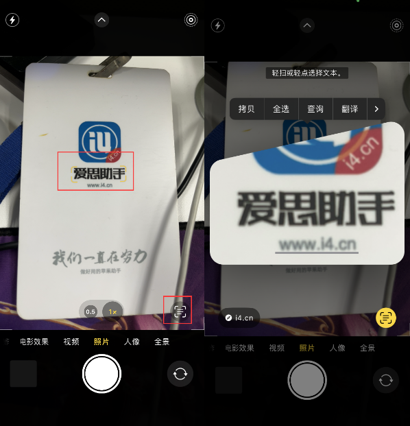皂市镇苹果手机维修分享升级iOS 16后如何通过相机翻译文本 