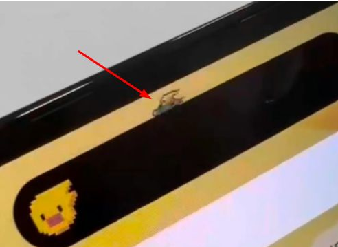 皂市镇苹果14维修分享iPhone 14 Pro Max灵动岛怎么养宠物 