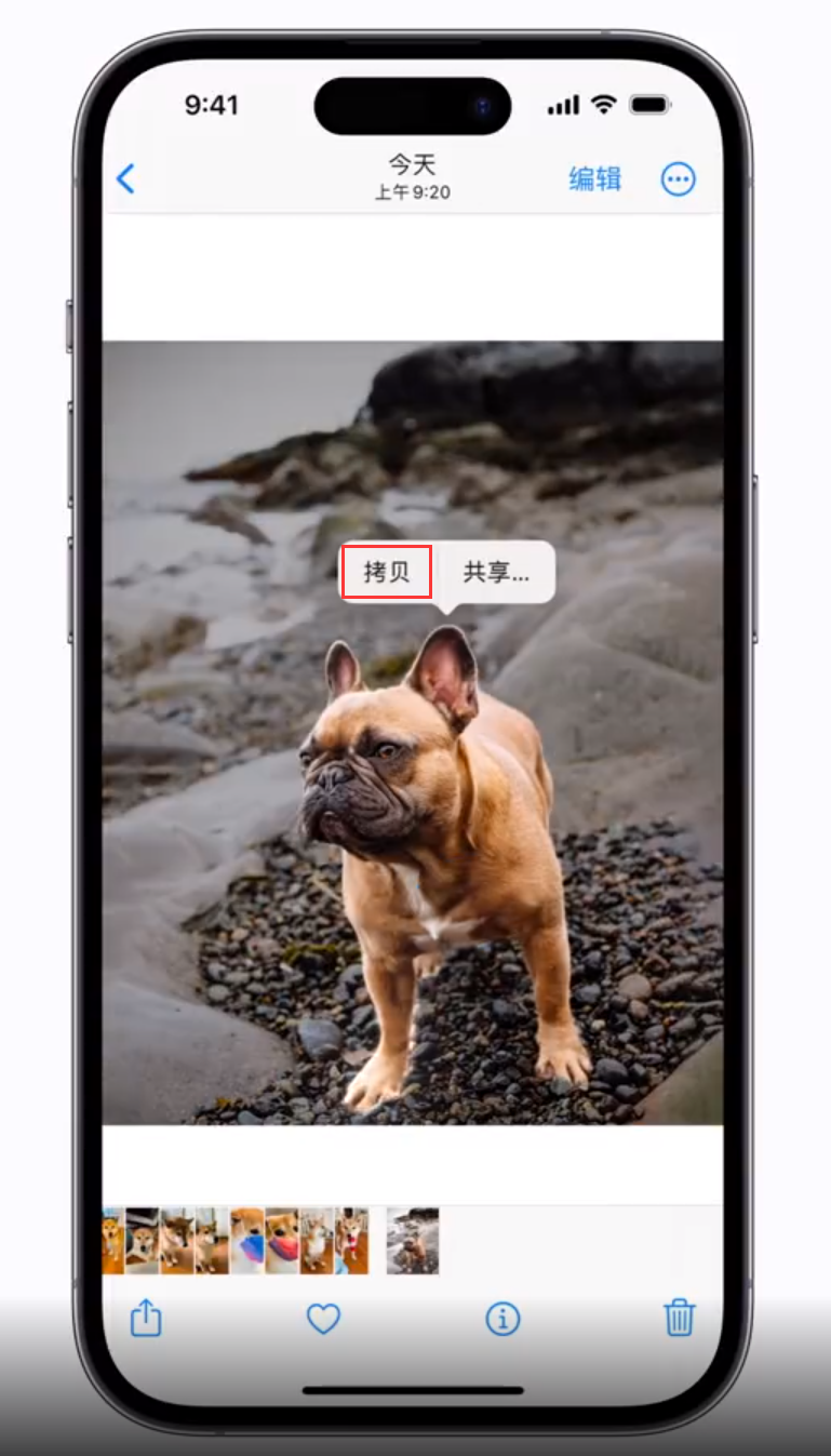 皂市镇苹果手机维修分享 iOS 16 自带一键抠图功能 