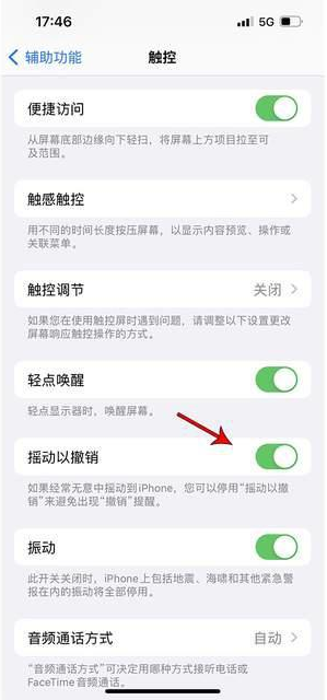 皂市镇苹果手机维修分享iPhone手机如何设置摇一摇删除文字 