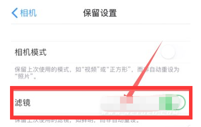 皂市镇苹果13维修分享iPhone13拍照有绿点是怎么回事 