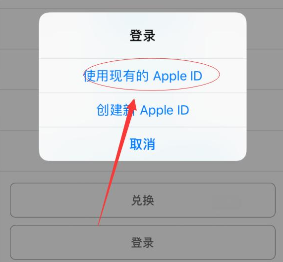 皂市镇苹果手机维修分享两台iPhone设备可以同时登录一个Apple ID吗 