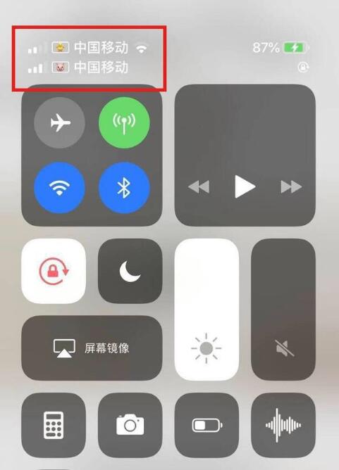 皂市镇苹果手机维修分享为 iPhone 12 双卡设置标签 