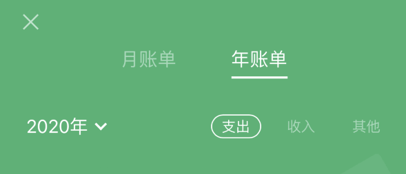 皂市镇苹果手机维修分享如何在 iPhone 上查看支付宝和微信年支出账单 