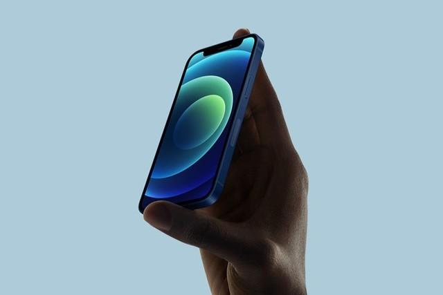 皂市镇苹果手机维修分享iPhone 12 mini辐射很大吗 
