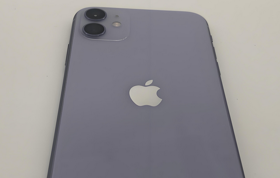 皂市镇苹果11系统维修分享iPhone11手机系统崩溃无法开机如何解决 